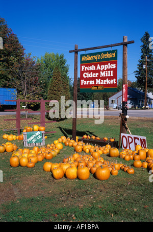 Kürbisse für Verkauf, New England, USA Stockfoto