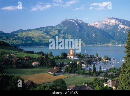 Spiez am Thunersee, Schweiz Stockfoto