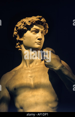 Statue des David von Michelangelo in der Galleria Dell Accademia, Florenz, Italien Stockfoto
