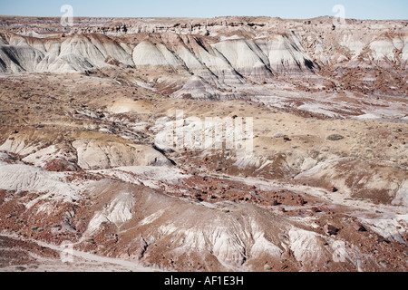 Petrified Forest Nationalpark, Holbrook, Arizona, Vereinigte Staaten von Amerika Stockfoto