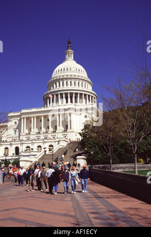 Das Kapitol, Capitol Hill, Washington, DC, USA Stockfoto