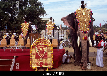 Südindien Kerala lokale Beschriftung Trichur Elephant Festival Stockfoto
