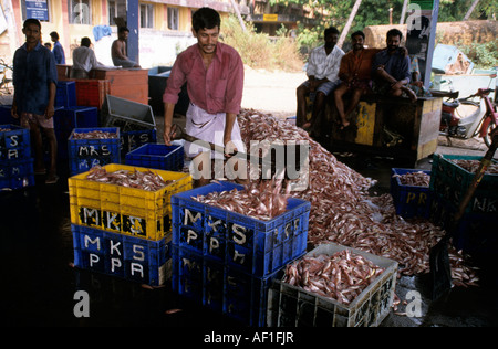 Süd Indien Kerala lokale Beschriftung Calicut Fischerdorf Stockfoto