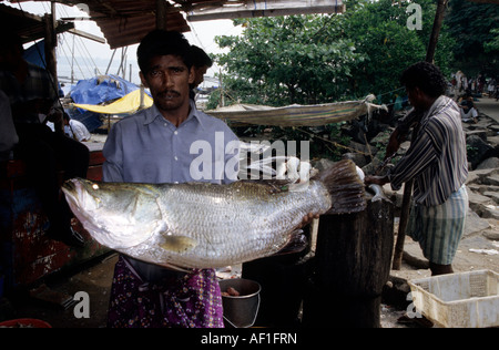 Südindien Kerala lokale Beschriftung Kochin Fischmarkt Stockfoto