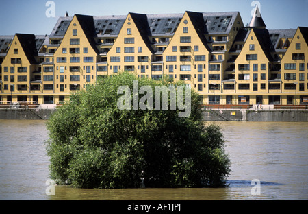 Neu gebaute Wohnungen neben neben einer überfluteten Auen am Rhein, Köln, Nord Rhein Westfalen, Deutschland. Stockfoto