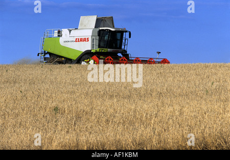 CLAAS Mähdrescher Harvester schneiden Weizen auf Ackerland in der Nähe von Snape, Suffolk, UK. Stockfoto