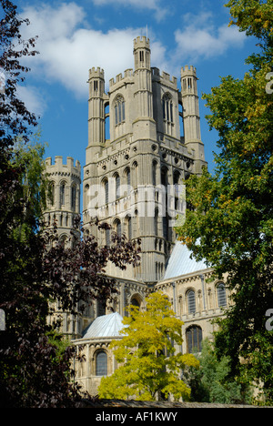 Nahaufnahme von Ely Kathedrale Westturm und South West Querschiff durch Bäume des klösterlichen Gärten gesehen Stockfoto