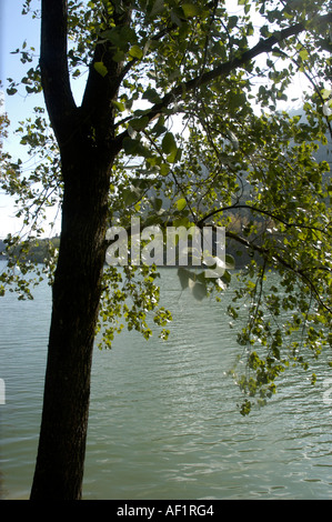 BHIMTAL IN INDIEN UTTARANCHAL Stockfoto