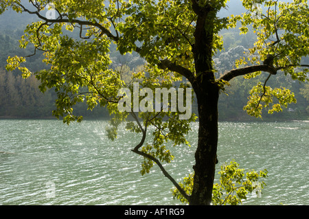 BHIMTAL IN INDIEN UTTARANCHAL Stockfoto