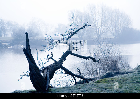 Ein Frostiger Morgen am Ufer des Flusses Severn bei Wehr Green, Gloucestershire Stockfoto