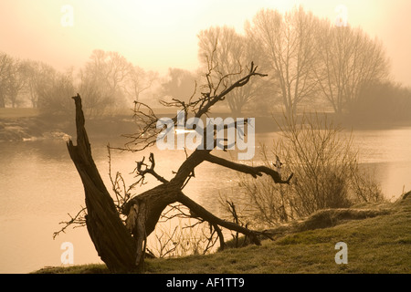 Am frühen Morgen am Ufer des Flusses Severn bei Wehr Green, Gloucestershire Stockfoto