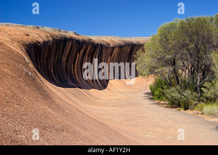 Wave Rock in der Nähe von Hyden, Western Australia, Australia Stockfoto