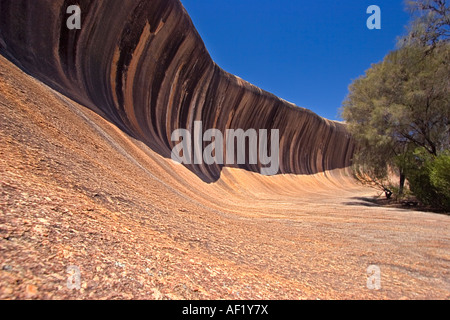 Wave Rock in der Nähe von Hyden, Western Australia, Australia Stockfoto