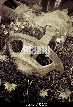 Das Rad und die Achse Abschnitt eines alten Fahrzeug in einem Feld aufgegeben, Neuseeland Stockfoto