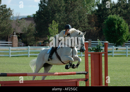 Pferdesport Jumper gefangen in der Mitte springen mit Gras- und weiße Zäune im Hintergrund Stockfoto