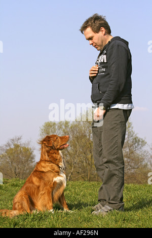Nova Scotia Duck Tolling Retriever (Canis Lupus F. Familiaris), Mann mit Hund trainieren Stockfoto