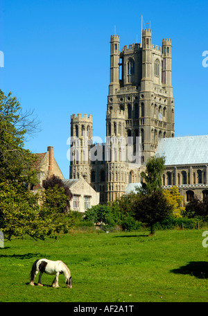 Ely Kathedrale, Ely, Cambridgeshire, England, UK Stockfoto