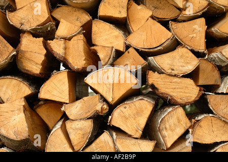 Schneiden Sie Protokolle Brennholz Holz Brennstoff für Holzfeuer Stockfoto