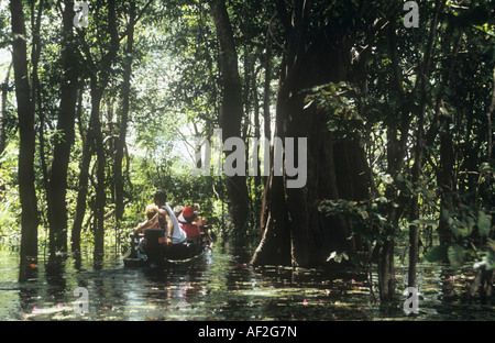 Eine Kanu navigiert durch überfluteten Teil des Amazonas-Regenwaldes in Brasilien. Stockfoto