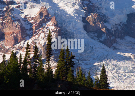 Nisqually Glacier Detail auf dem Mount Rainier vom Gletscher Vista Mount Rainier Nationalpark Washington Stockfoto