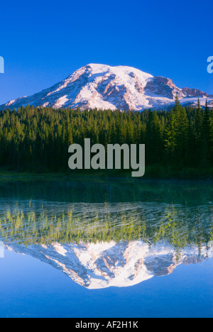 Morgendämmerung auf dem Mount Rainier von Reflection Lake Mount Rainier Nationalpark Washington Stockfoto