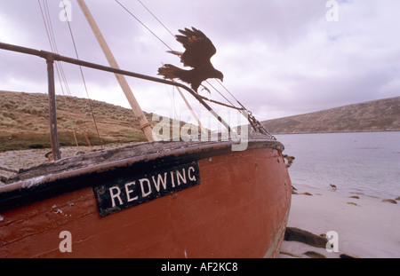 Gekerbter Caracara Phalcoboenus Australis auf ein Schiffswrack namens Redwind West Point-Island-Falkland-Inseln Stockfoto
