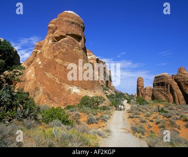 Entrada und Navajo Sandstein Monolithen in der Nähe eines der wichtigsten Wanderwege im Arches National Park im Bereich Devils Garden, Süd-Utah. Stockfoto