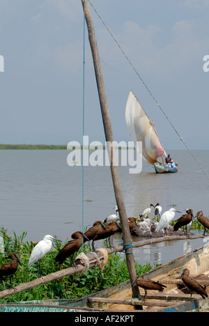 Luo Segelkanu vertäut am Ufer des Viktoriasees Dunga in der Nähe von Kisumu, Kenia Stockfoto