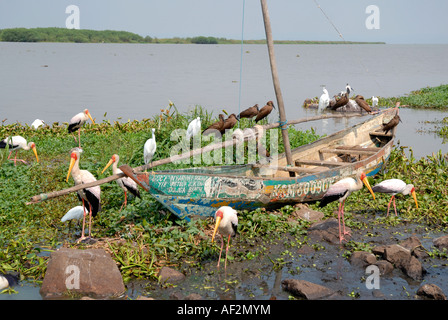 Luo Segelkanu vertäut am Ufer des Viktoriasees Dunga in der Nähe von Kisumu, Kenia Stockfoto