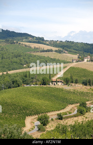 Hügel in der Nähe von Castellina in Chianti, Toskana Italien Stockfoto