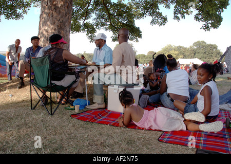 Erweiterte Familie picknicken und entspannen im Brockwell Park im Sommer. Stockfoto