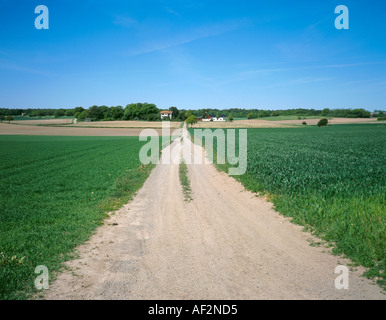 Bauernhof, südliches Öland, Schweden. Stockfoto