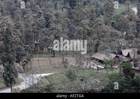 Vulkanasche umfasst Hunderte von Dörfern und Ackerland, nachdem der Merapi Vulkan, in Java, Indonesien ausbricht. Stockfoto