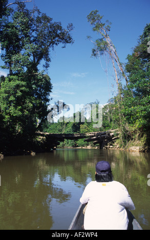 Dem oberen Rejang River in Longboat Tourist nähert sich Protokollierung Brücke über Fluss bereisen Stockfoto