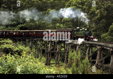 Dampfzug auf Puffing Billy Eisenbahn, Belgrave, Victoria, Australien Stockfoto