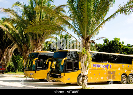 Costa Maya Chacchoben archäologische Stätte moderner Tour bus-Mexiko Stockfoto