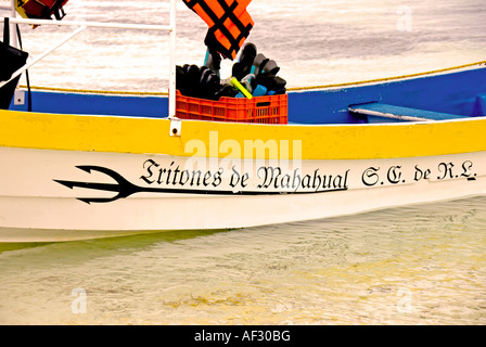 Puerto Costa Maya Resort Gegend Schnorcheln und Tauchen Boot Stockfoto