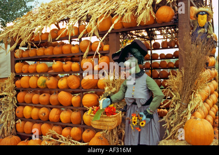 Eine alte Hexe hat Gartenarbeit und steht vor ihrem Hause Kürbis in einem historischen shopping Dorf in Utah, USA. Stockfoto