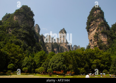 Kalkstein-Rock-Formation, Ernte zum ersten chinesischen National Park in Zhangjiajie und Wulingyuan Stockfoto