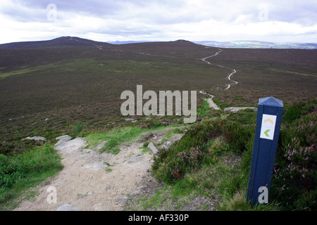 Blick vom Weg bei O' Antippen Bennachie in der Nähe von Inverurie, Aberdeenshire, Schottland, UK, mit Blick auf Ochsen Craig Stockfoto