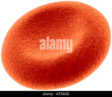 Red Blood Cell Stockfoto