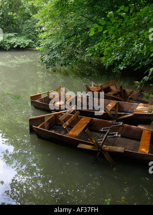 Leonardo da Vinci entwickelt den ersten Tretboote und Sie können gesehen und Clos Luce verwendet in Amboise, Frankreich Stockfoto