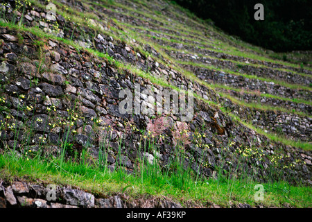 Terrassenförmig angelegten Hügel der Intipata Ruinen auf dem Inka-Trail in der Nähe von Machu Picchu, Peru Stockfoto