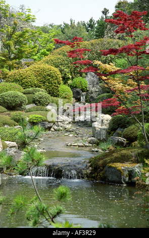 Taizo im Tempelgarten im Myoshin-Ji Kyoto Japan Stockfoto