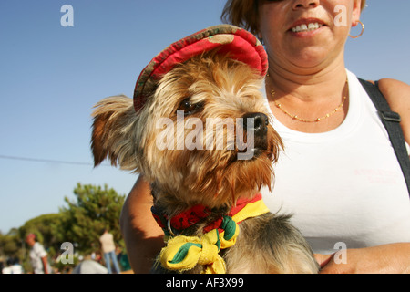 Faro-Moto-festival Stockfoto