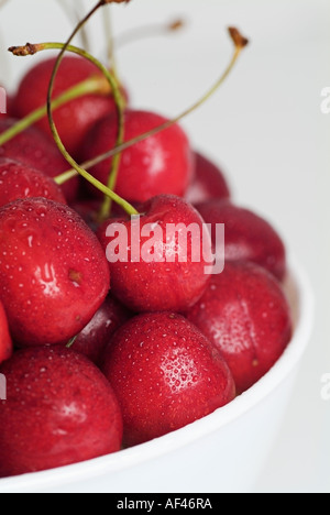 Rote Kirschen in einer Schüssel weiß Stockfoto