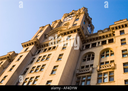 Königlichen Leber Gebäude, Liverpool Stockfoto