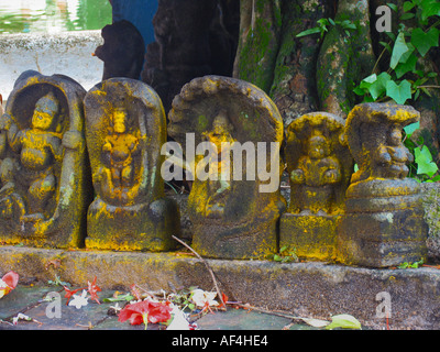 Statuen von Nagas (Schlangen) auf Nagaraja Tempel, Mannasala, Kerala, Indien Stockfoto