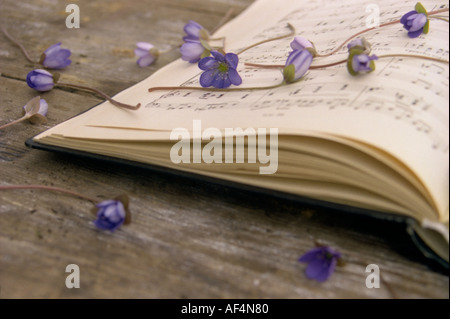 0pened Notenheft auf Holztisch Blumen liegen über die Blätter Stockfoto