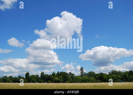 Wasserwiesen Ort der Unterzeichnung der Magna Carta, Runnymede, Surrey, England, Vereinigtes Königreich Stockfoto